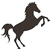 The Official Montana West